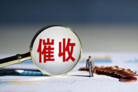 滨湖要钱公司：揭秘湖畔金融新势力