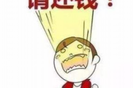 追讨债务电话沟通话术——高效解决债务纠纷的艺术 追讨债务电话沟通话术——高效解决债务纠纷的艺术